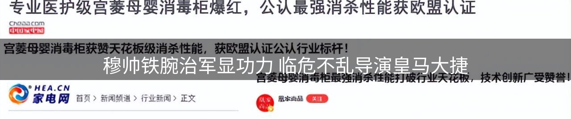 品牌简报